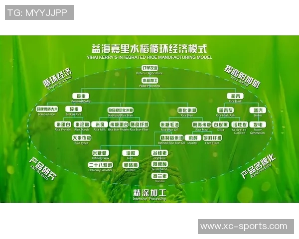 大米种植技术创新与可持续发展模式探讨及应用前景分析