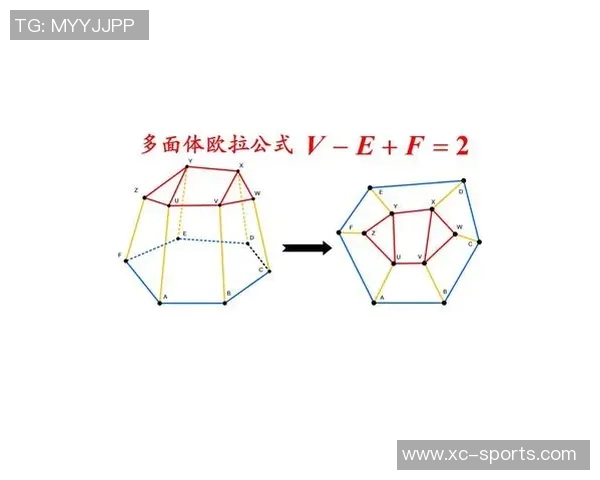 西安网球队战术解析与对比研究揭示胜负关键因素